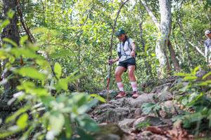 BIB: 
                            <button type="button" onclick="openModal(27703145)" class="btn btn-primary btn-sm float-right btn-popup" data-toggle="modal" data-target=".modal-high-quality">
                        <i class="fas fa-shopping-cart"></i> Add to Cart
                    </button>
                                            <button type="button" onclick="isThisMe(27703145, true)" class="btn btn-success btn-sm float-right btn-popup btn-isme hidden" data-toggle="tooltip" data-placement="bottom" title="นี่คือรูปของคุณใช่ไหม คลิกที่นี่เพื่อเอาเข้าอัลบั้ม">
                        <i class="fas fa-plus"></i> Add to album
                    </button>
                    <button type="button" onclick="isThisMe(27703145, false)" class="btn btn-warning btn-sm float-right btn-popup btn-isnotme hidden">
                        <i class="fas fa-ban"></i> Remove from album
                    </button>